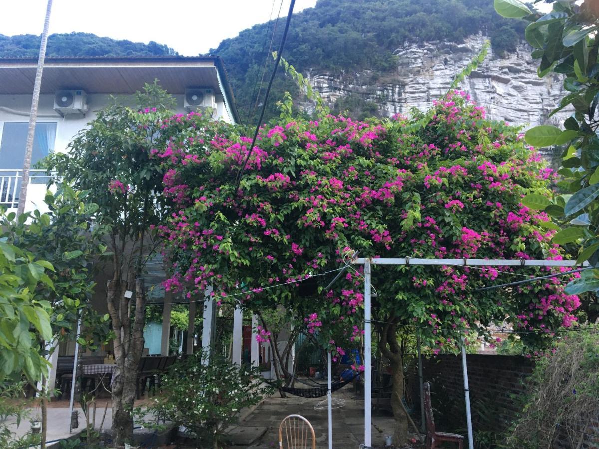 Cat Ba Countryside Homestay Dong Khe Sau Exterior foto