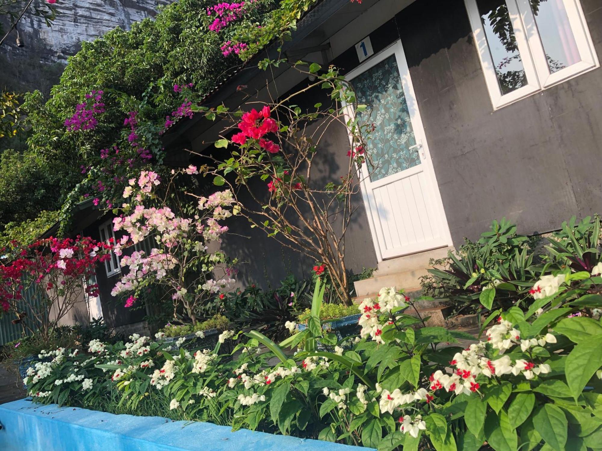 Cat Ba Countryside Homestay Dong Khe Sau Exterior foto